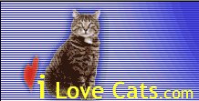 ilovecats.com.jpg (10282 bytes)